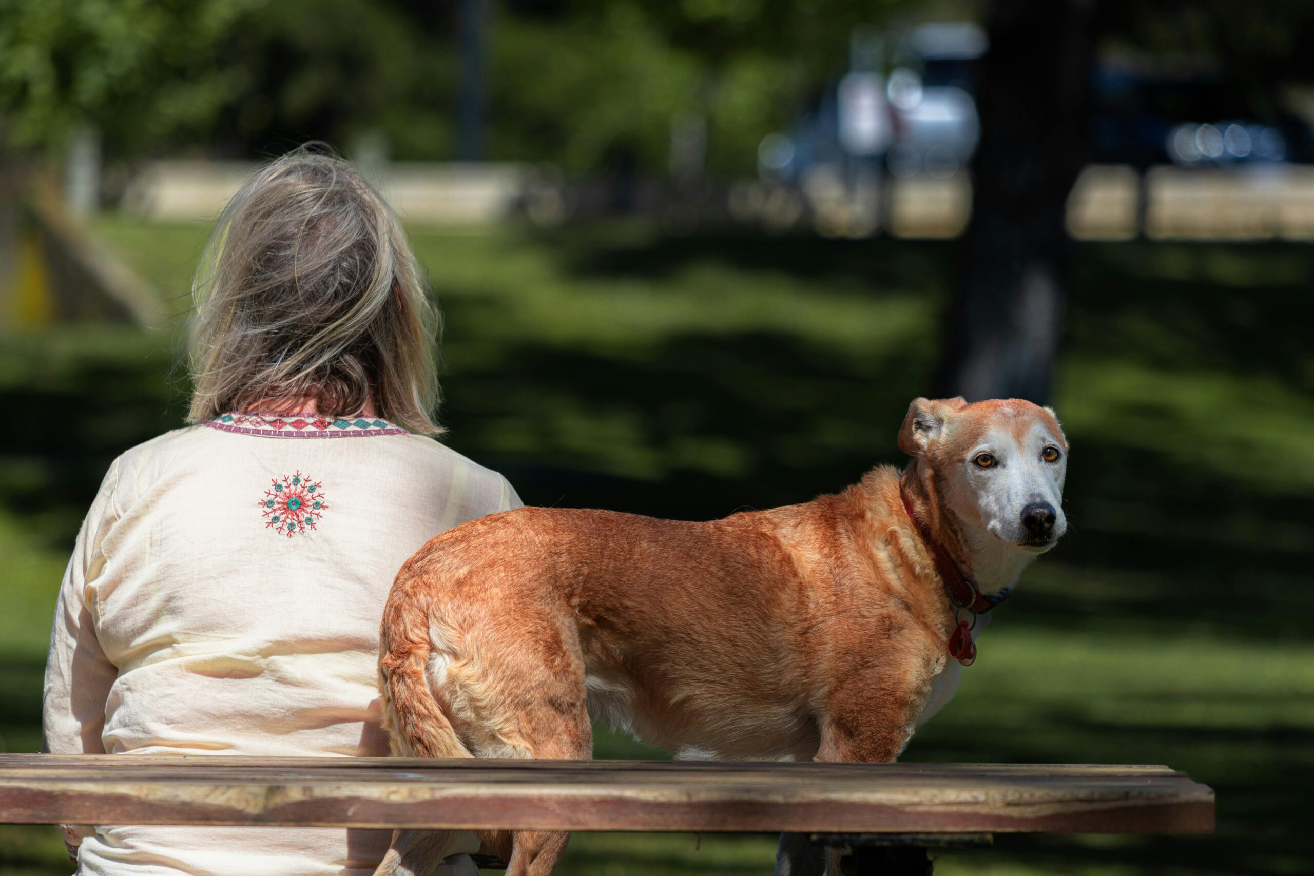 Eine Frau und ein Hund sitzen im Garten