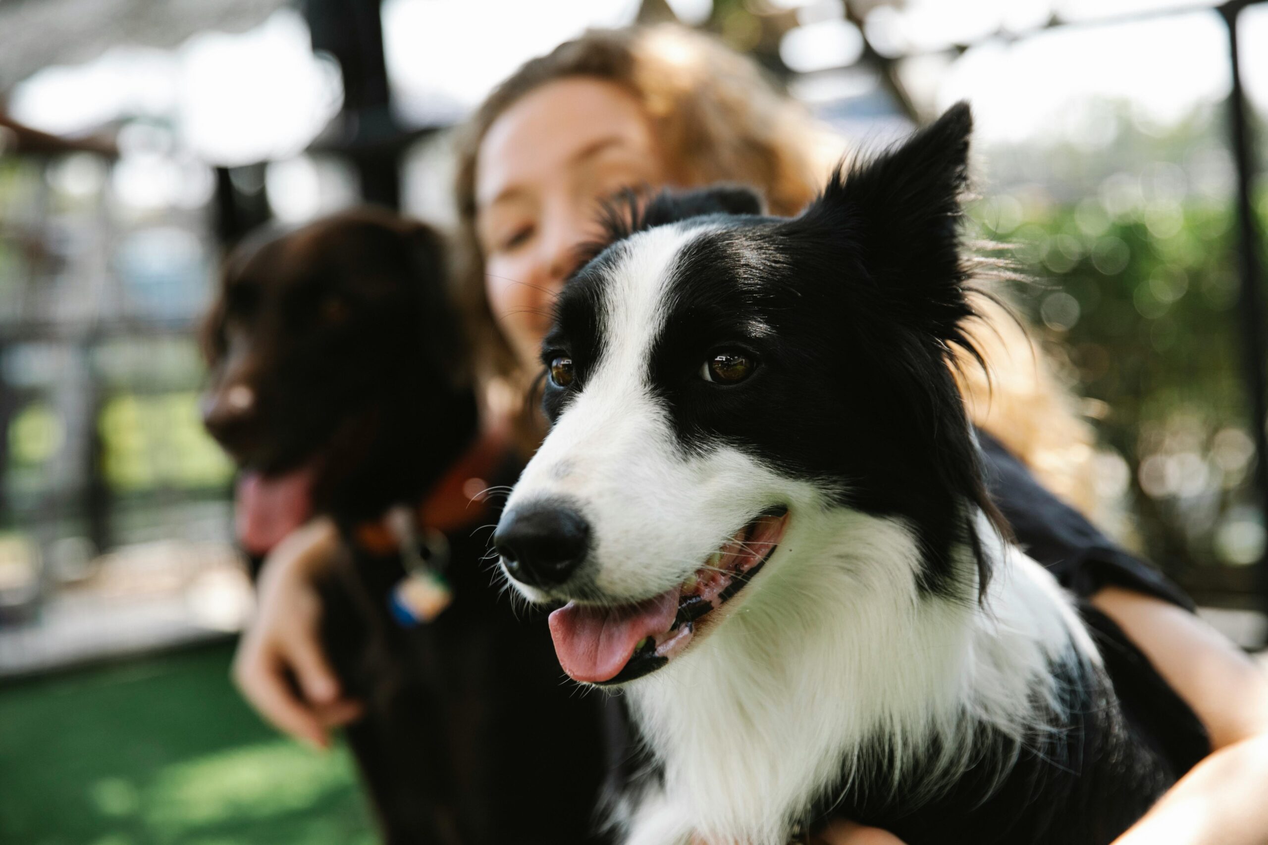 Frau mit 2 Hunden