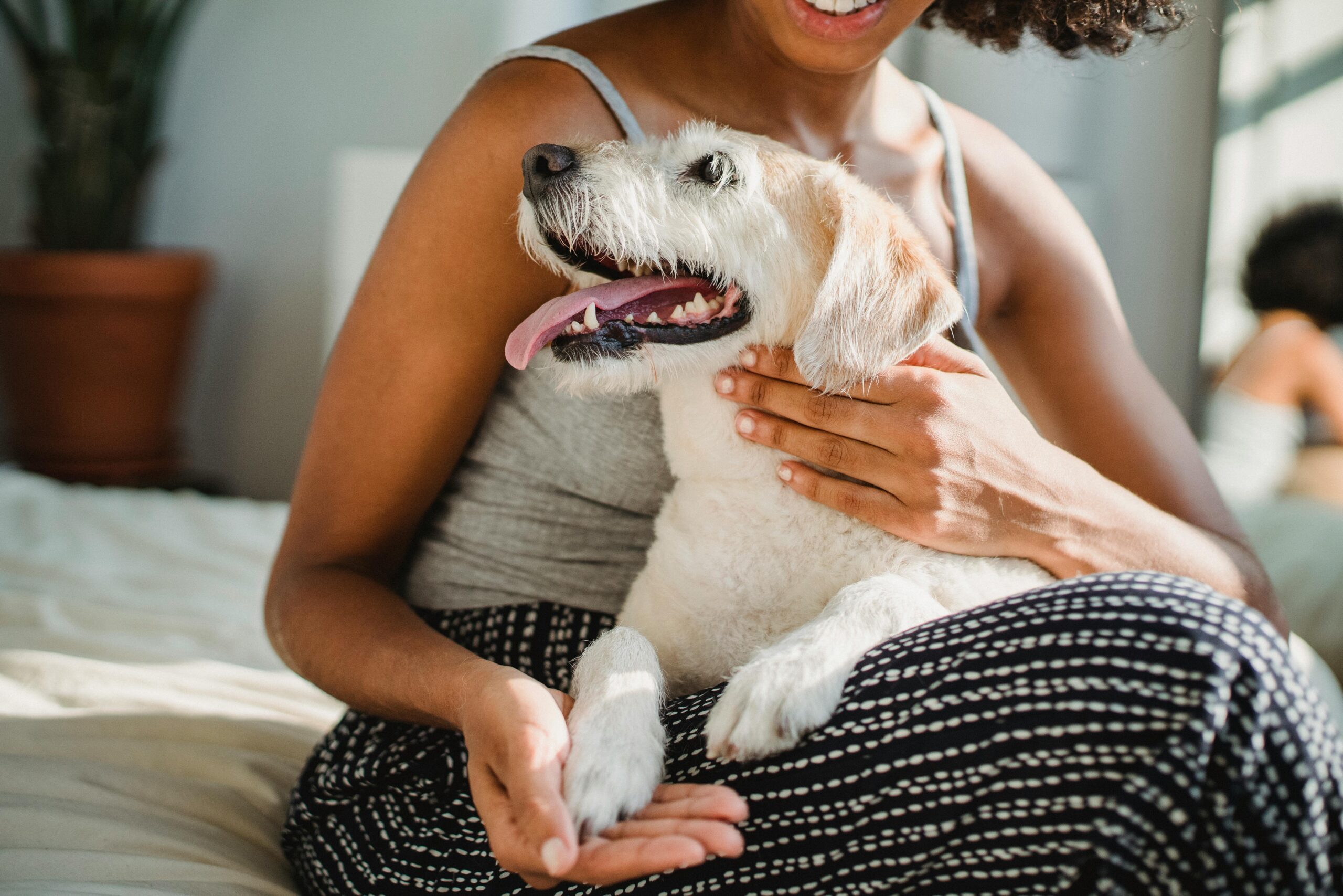 Frau mit Hund auf dem Schoss