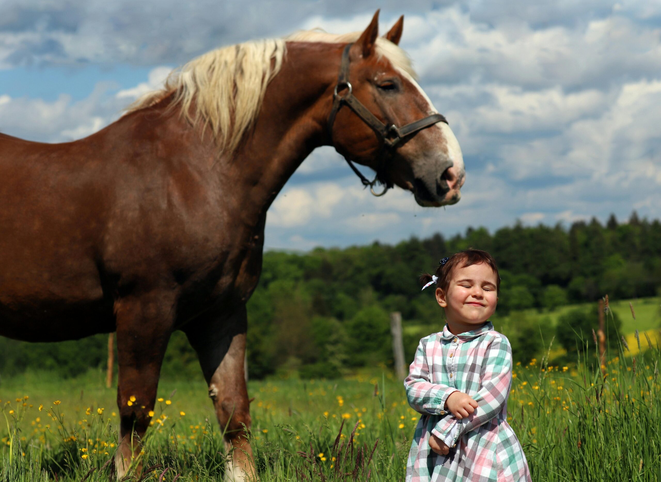 Kind und Pferd
