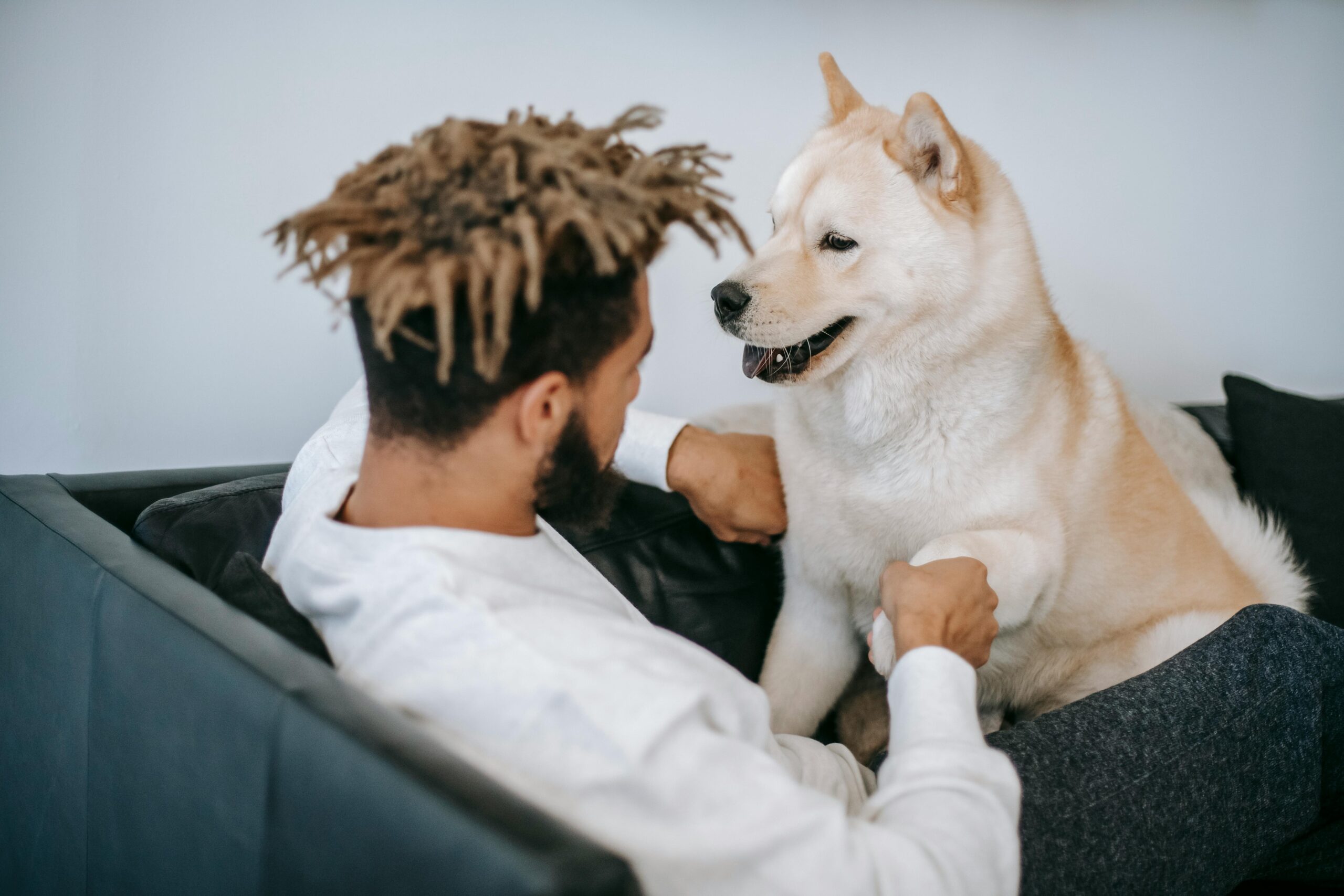 Ein Mann von hinten der seinen glücklichen Hund ansieht