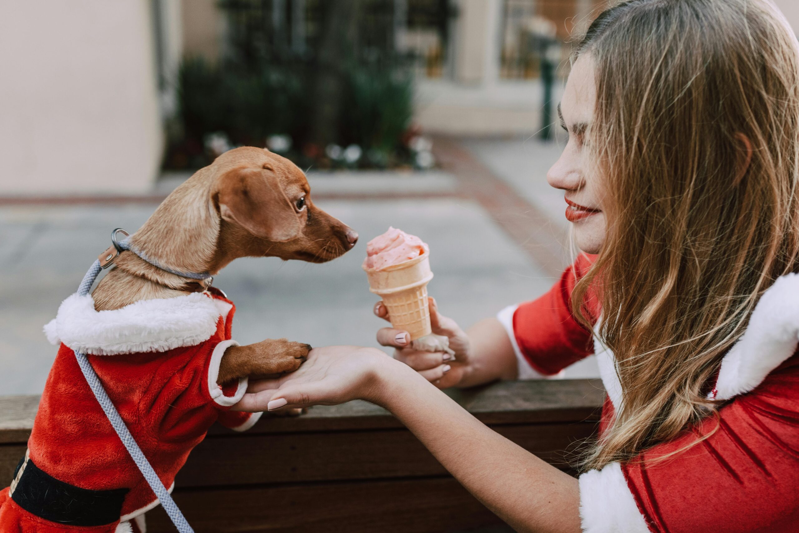 Hund bekommt Eiscreme