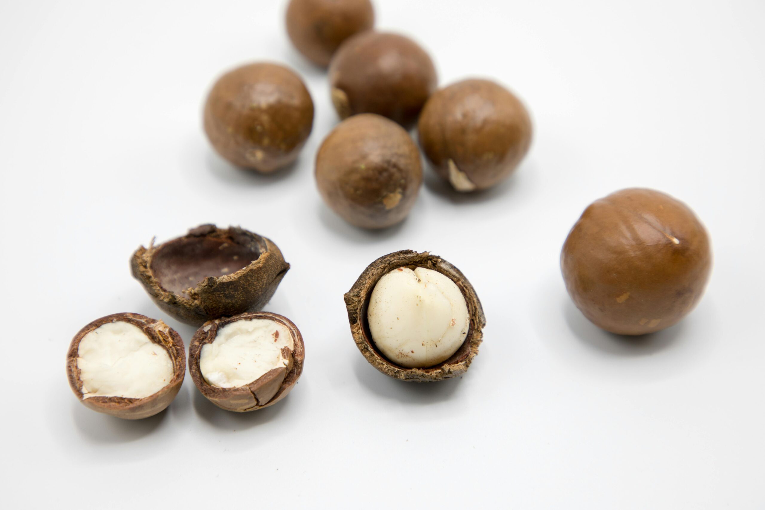 Geknackte und halbierte Macadamia Nüsse